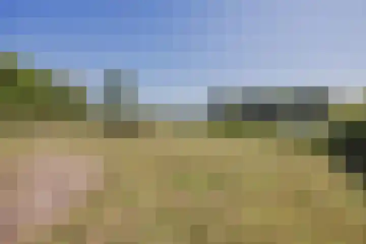 Veerweg 7 Broekhuizen thumbnail 41