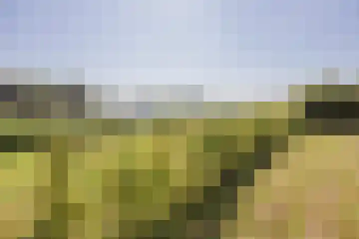 Veerweg 7 Broekhuizen thumbnail 42