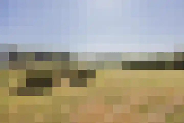 Veerweg 7 Broekhuizen thumbnail 43