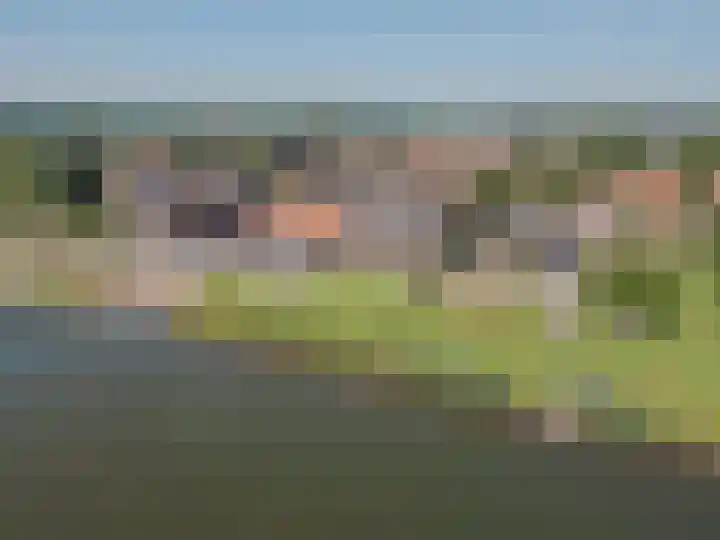 Veerweg 7 Broekhuizen thumbnail 51