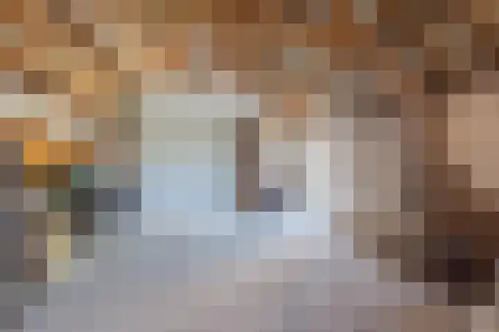 Veerweg 7 Broekhuizen thumbnail 6