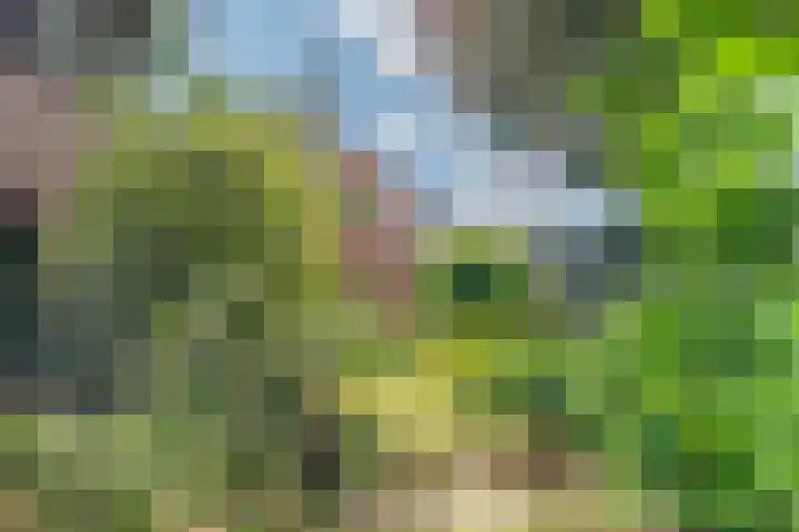 Veerweg 7 Kapelle thumbnail 31
