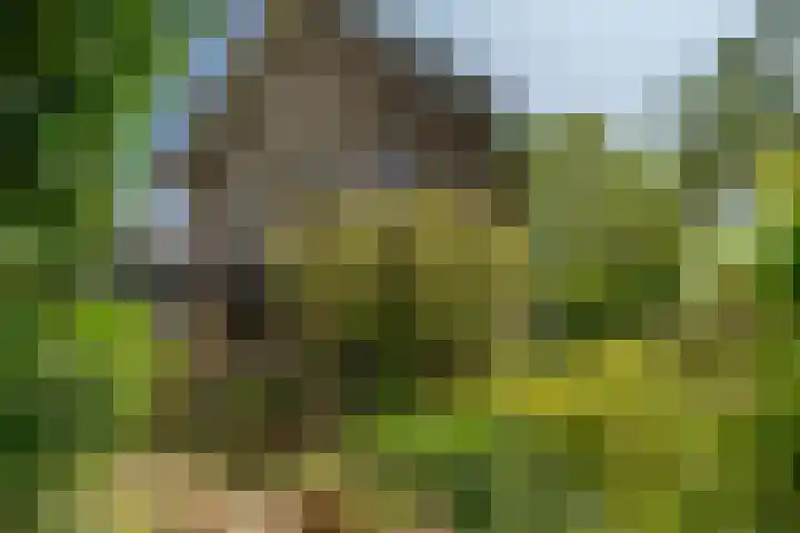 Veerweg 7 Kapelle thumbnail 32