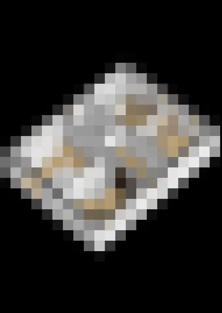 Veerweg 7 Kapelle thumbnail 37