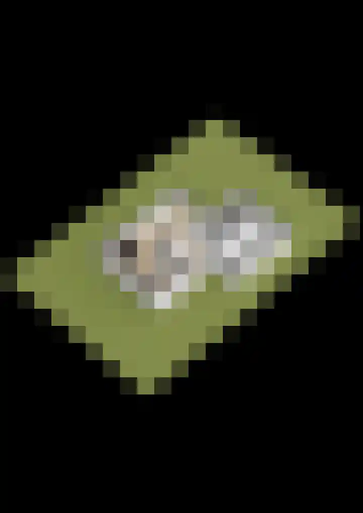 Veerweg 7 Kapelle thumbnail 41