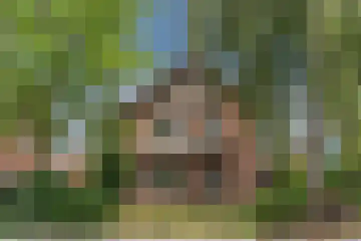 Veerweg 7 Kapelle thumbnail 7