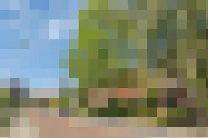 Veerweg 7 Kapelle thumbnail 8