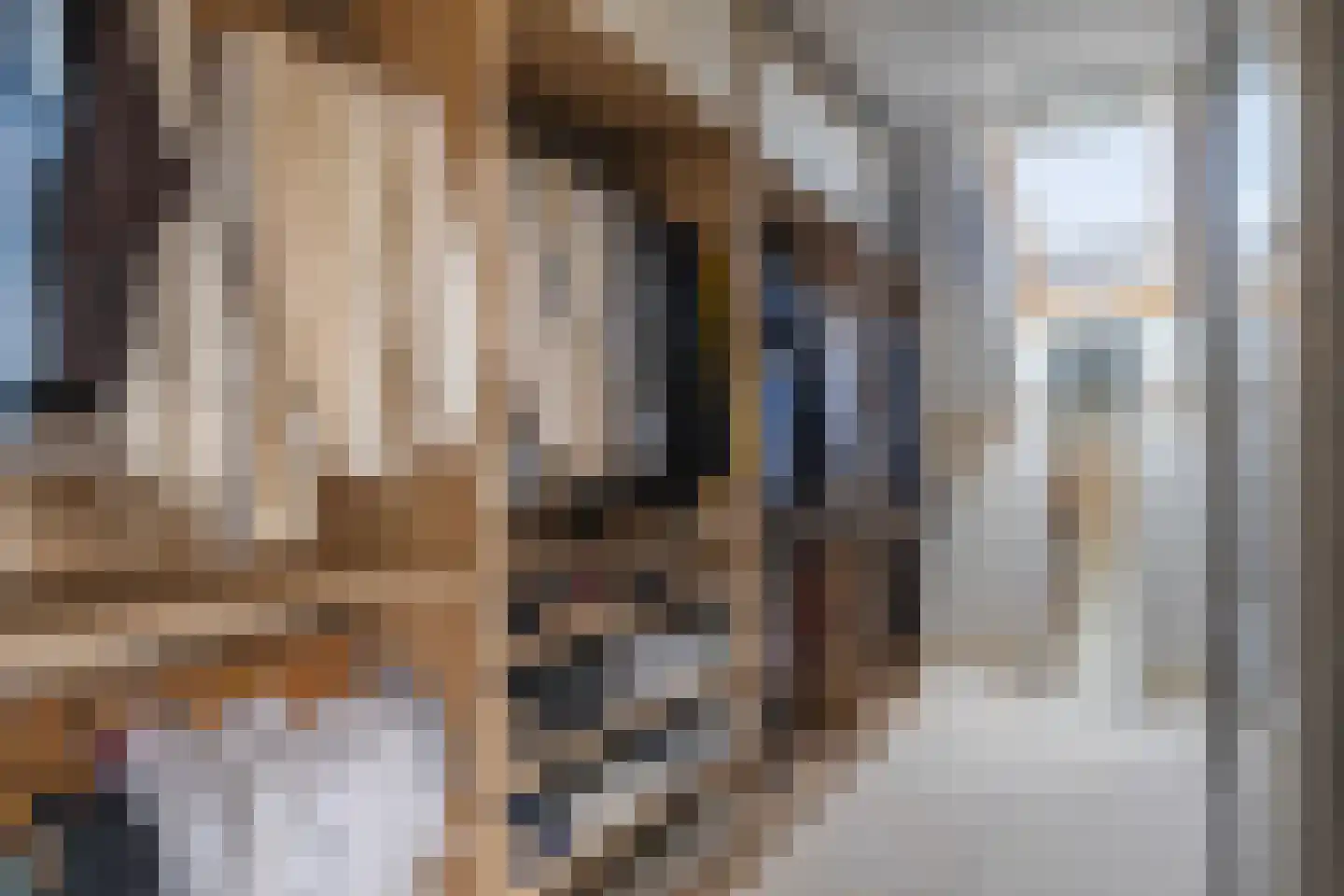 Veerweg 71 Rheden thumbnail 33