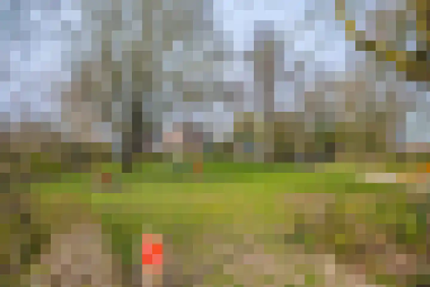 Veerweg 71 Rheden thumbnail 50