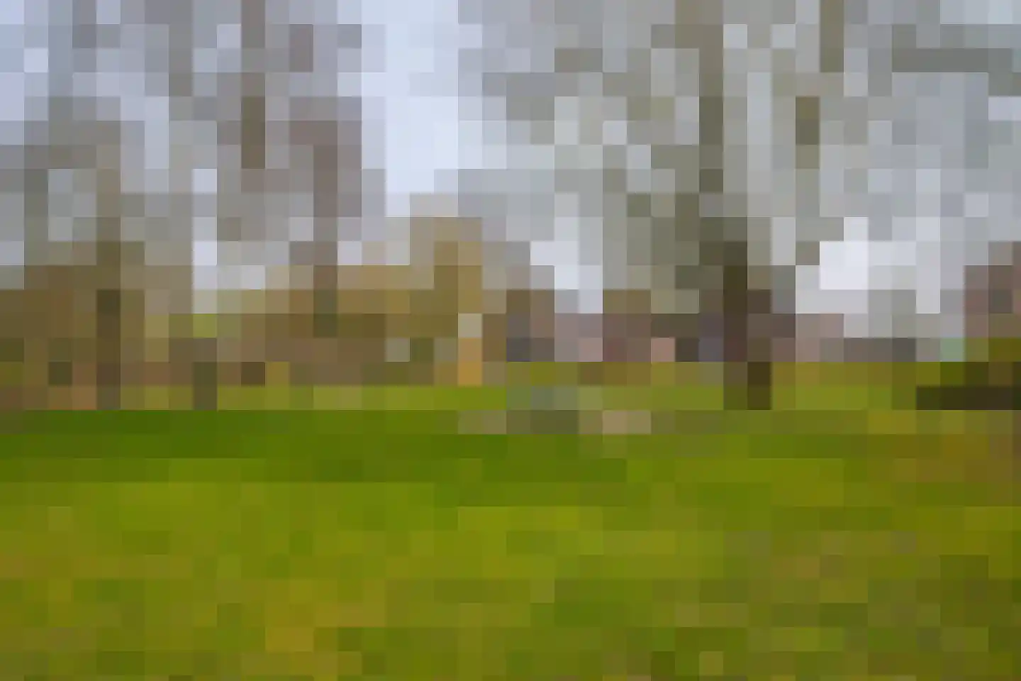Veerweg 71 Rheden thumbnail 51