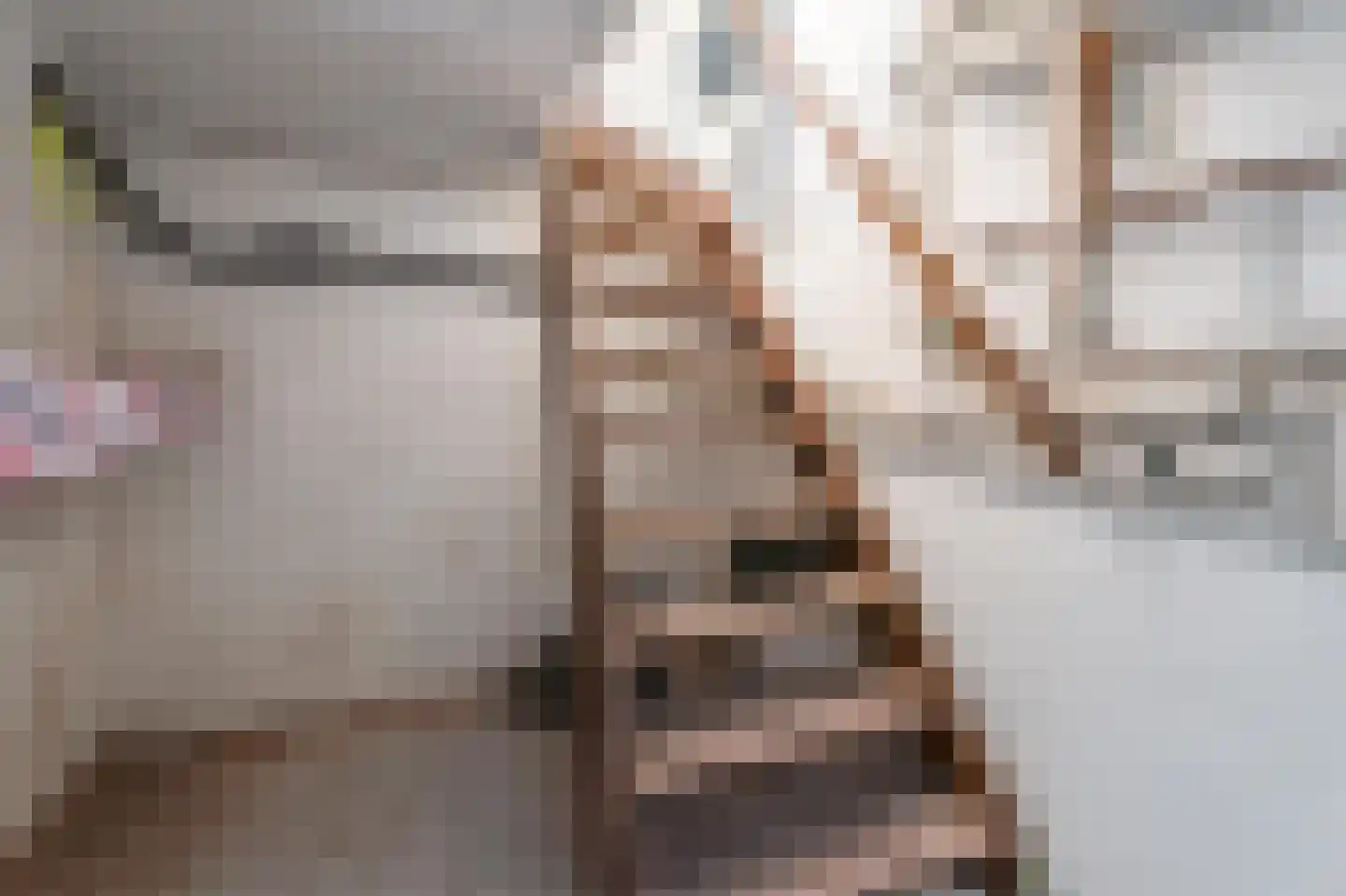 Veerweg 72 Rheden thumbnail 13