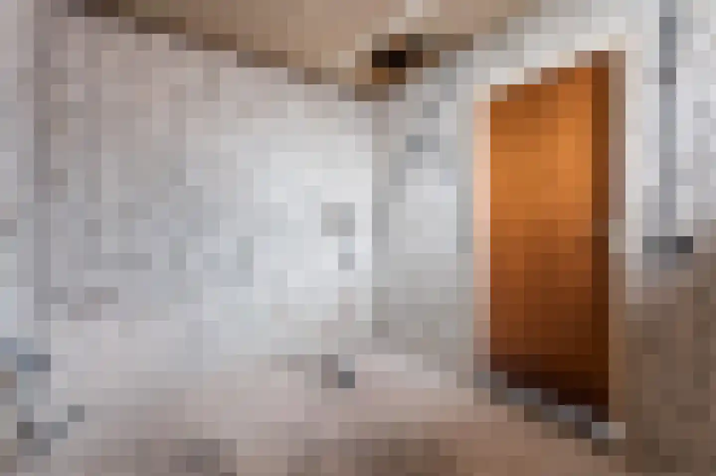 Veerweg 72 Rheden thumbnail 16