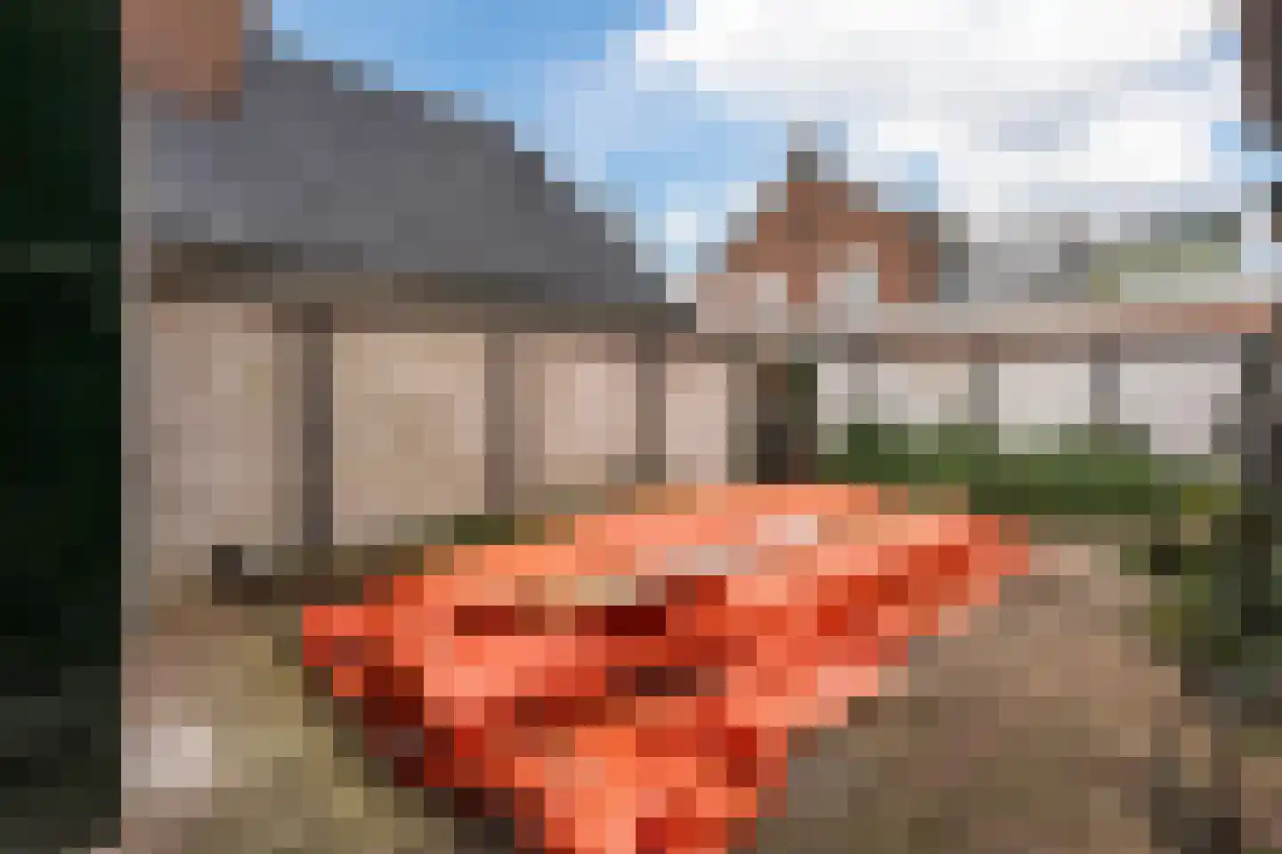 Veerweg 72 Rheden thumbnail 27