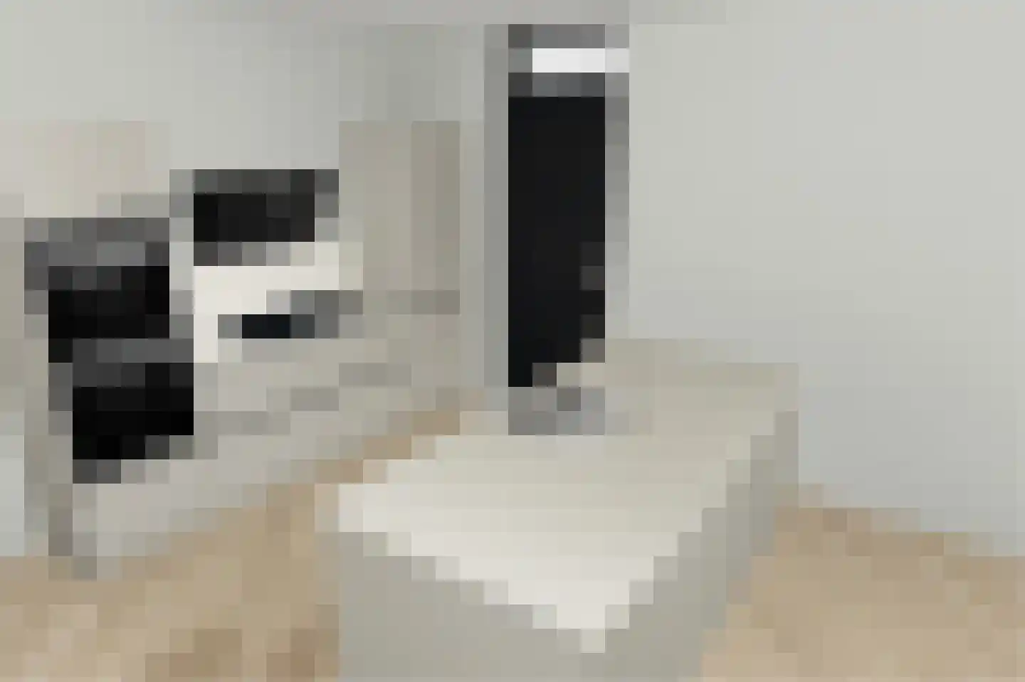 Veerweg 72 Rheden thumbnail 4