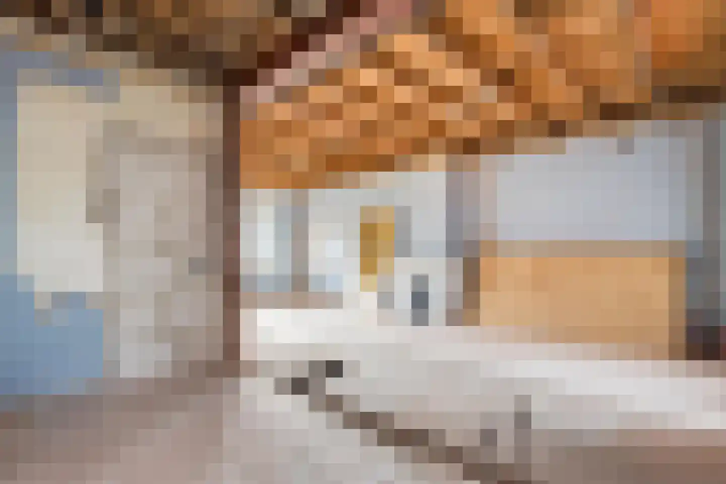 Veerweg 72 Rheden thumbnail 7