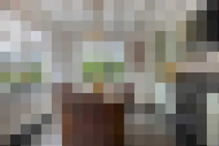 Veesser Enkweg 28 Veessen thumbnail 11