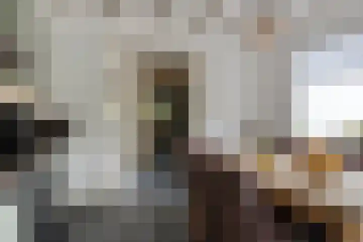 Veesser Enkweg 28 Veessen thumbnail 14