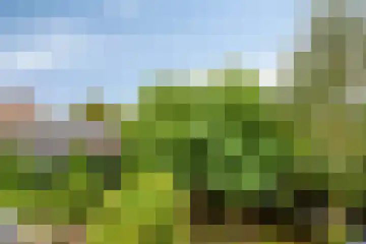 Veesser Enkweg 28 Veessen thumbnail 23