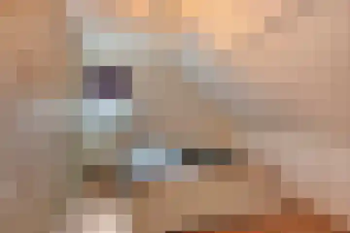 Veesser Enkweg 28 Veessen thumbnail 24