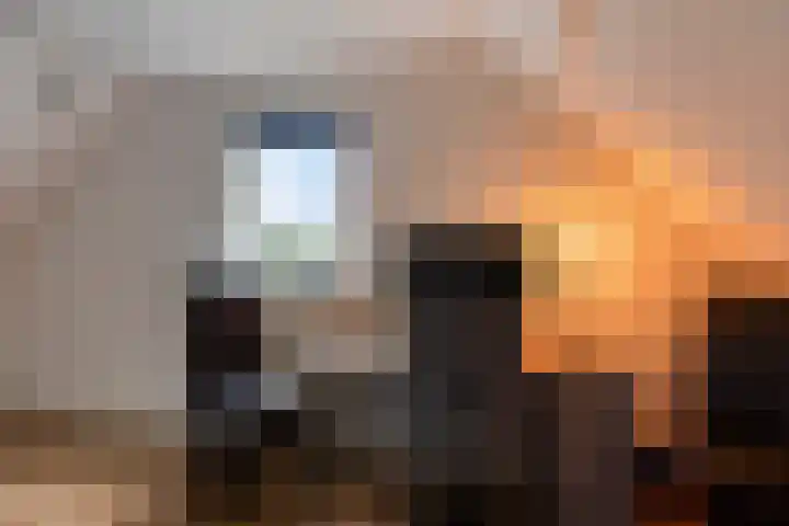 Veesser Enkweg 28 Veessen thumbnail 25
