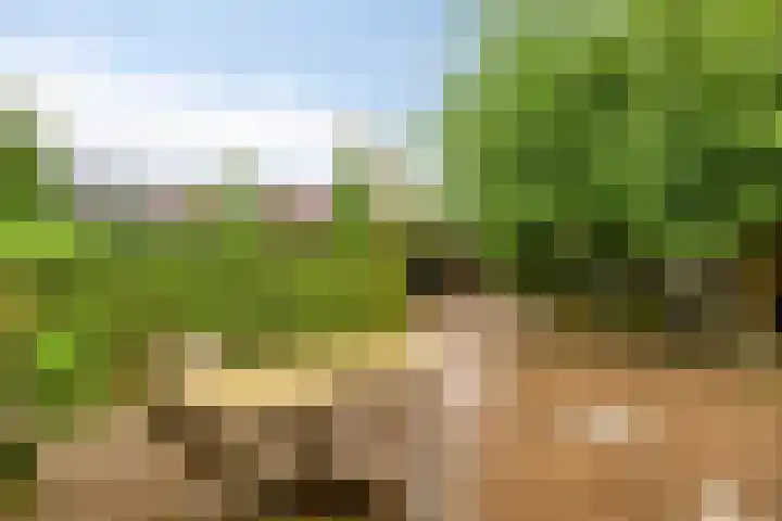 Veesser Enkweg 28 Veessen thumbnail 27
