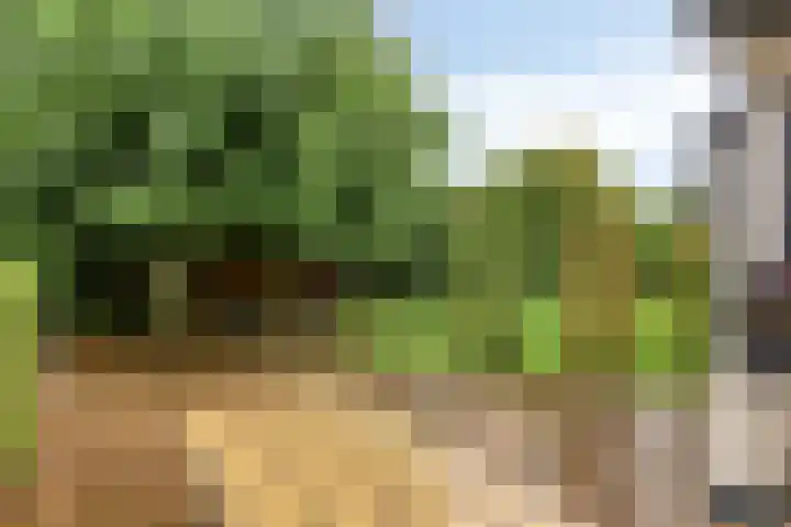 Veesser Enkweg 28 Veessen thumbnail 28