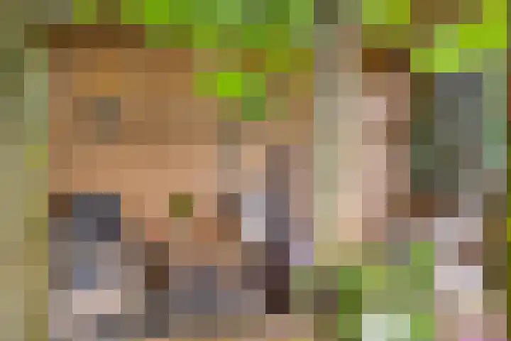 Veesser Enkweg 28 Veessen thumbnail 29