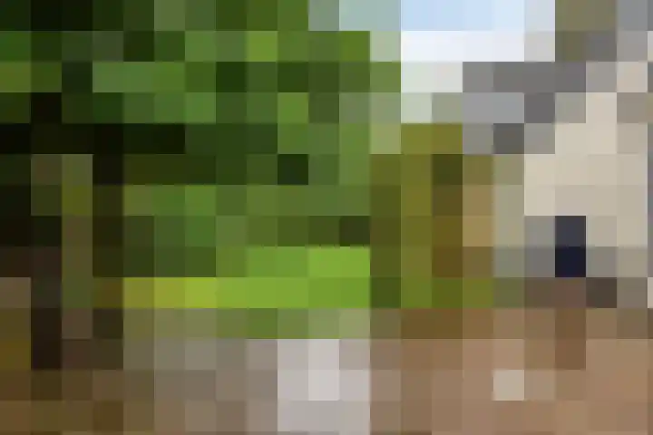 Veesser Enkweg 28 Veessen thumbnail 30