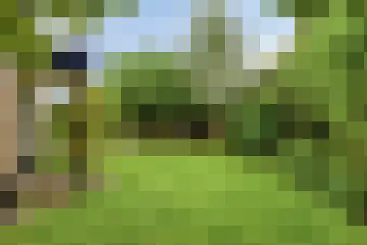 Veesser Enkweg 28 Veessen thumbnail 31
