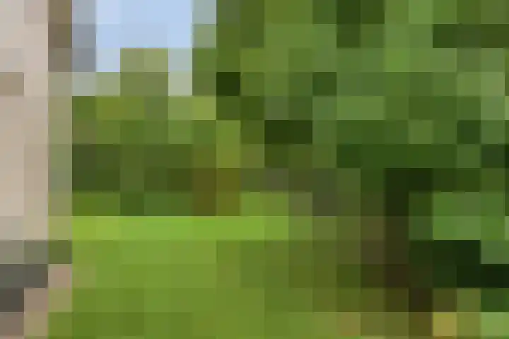 Veesser Enkweg 28 Veessen thumbnail 32