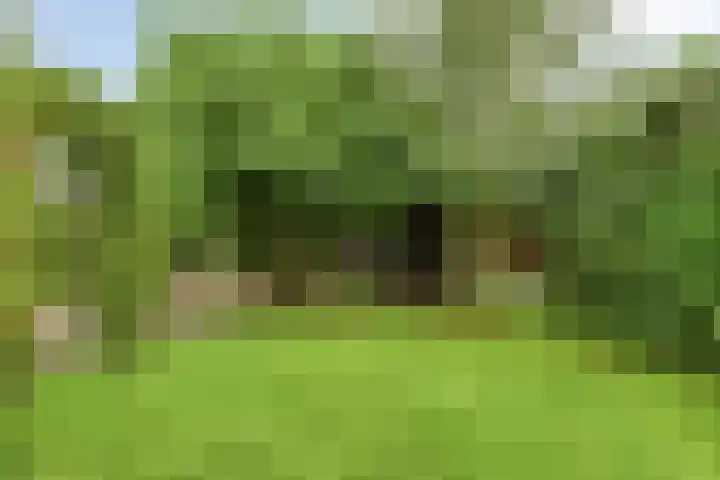 Veesser Enkweg 28 Veessen thumbnail 33