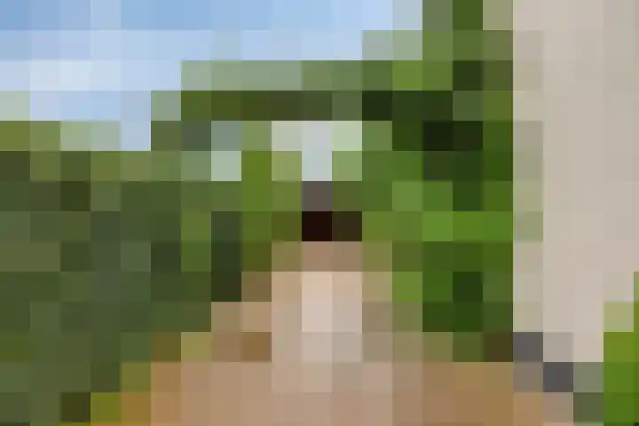 Veesser Enkweg 28 Veessen thumbnail 34