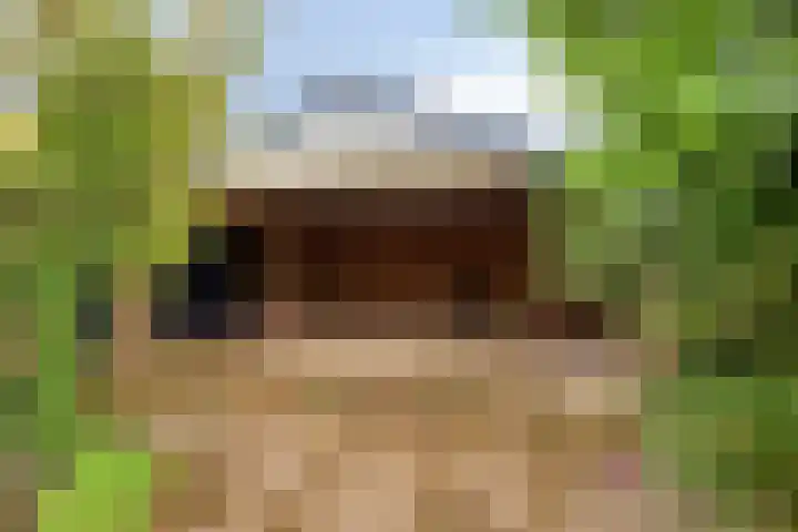 Veesser Enkweg 28 Veessen thumbnail 35