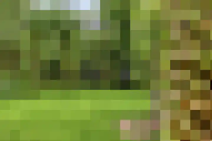 Veesser Enkweg 28 Veessen thumbnail 36