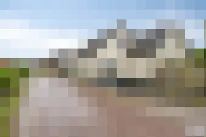 Veesser Enkweg 28 Veessen thumbnail 37