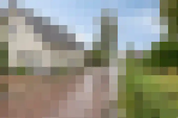 Veesser Enkweg 28 Veessen thumbnail 38
