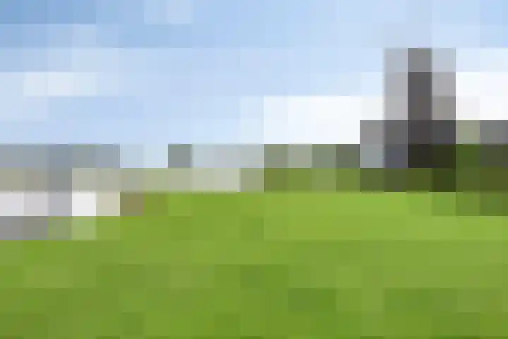 Veesser Enkweg 28 Veessen thumbnail 39