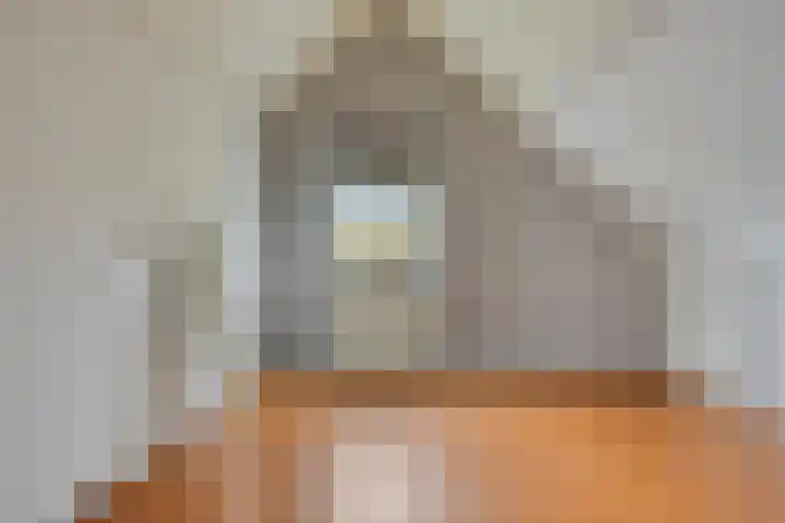 Veesser Enkweg 46 Veessen thumbnail 19