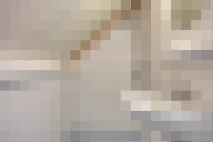 Veesser Enkweg 46 Veessen thumbnail 21
