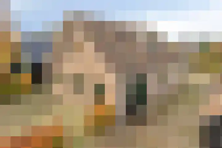 Veesser Enkweg 46 Veessen thumbnail 22