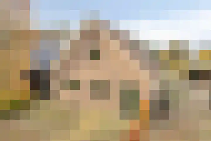 Veesser Enkweg 46 Veessen thumbnail 23
