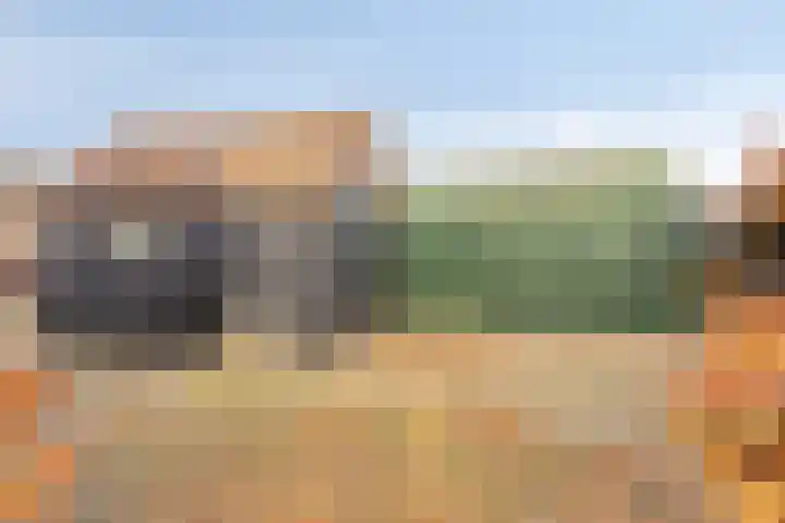 Veesser Enkweg 46 Veessen thumbnail 24