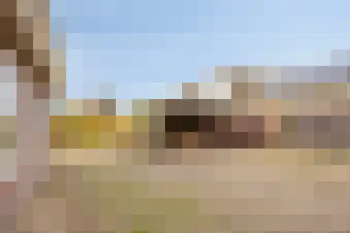 Veesser Enkweg 46 Veessen thumbnail 25
