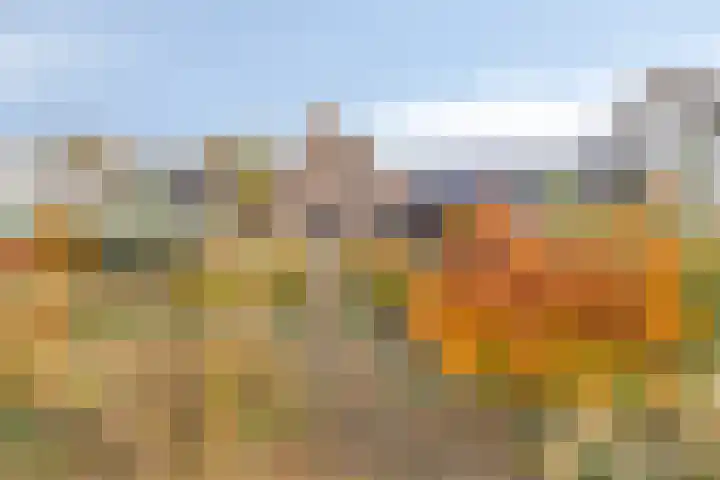 Veesser Enkweg 46 Veessen thumbnail 27