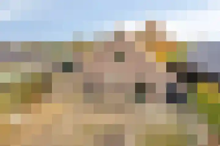 Veesser Enkweg 46 Veessen thumbnail 29