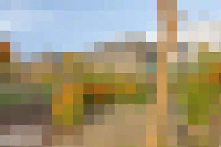 Veesser Enkweg 46 Veessen thumbnail 30