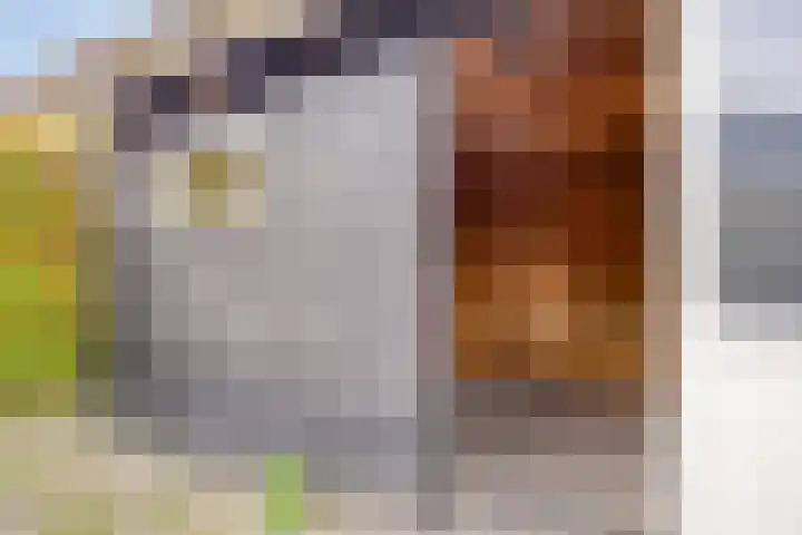 Veesser Enkweg 46 Veessen thumbnail 31