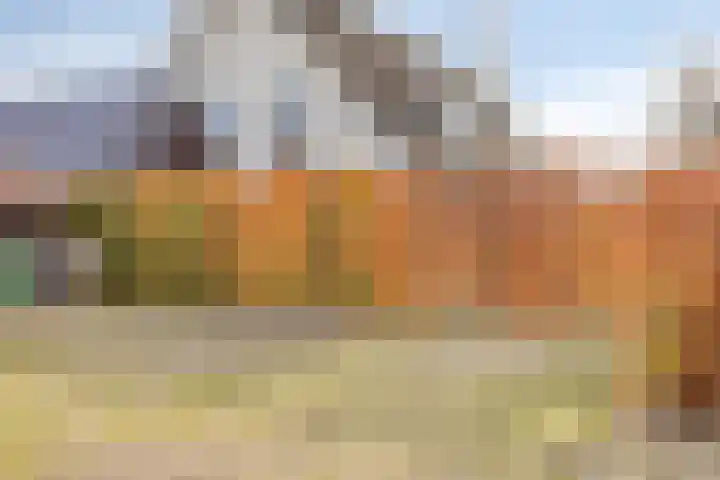 Veesser Enkweg 46 Veessen thumbnail 33