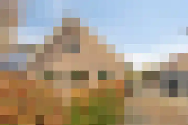 Veesser Enkweg 46 Veessen thumbnail 36