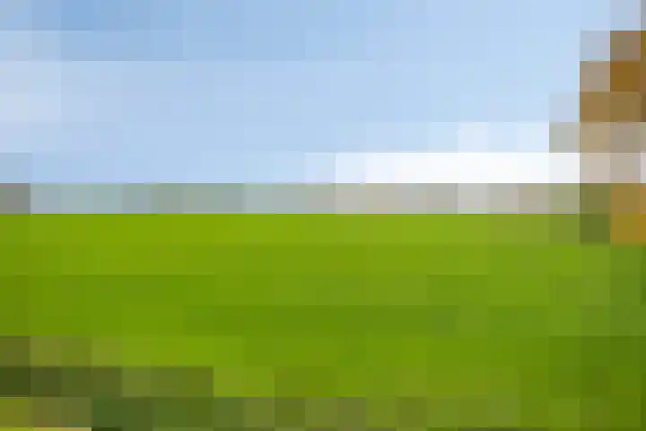 Veesser Enkweg 46 Veessen thumbnail 37